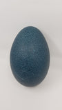 Fresh Emu eggs (unfertile)