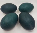 Fresh Emu eggs (unfertile)