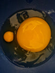 Fresh Emu eggs (unfertile)