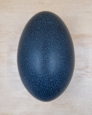 Blown Emu Egg