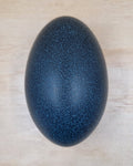 Blown Emu Egg