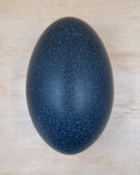 Blown Emu Egg