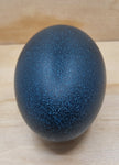 Blown Emu Egg