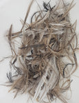 Unsorted Emu Feathers