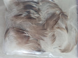 Poultry Feathers