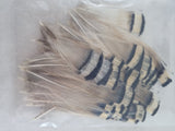 Poultry Feathers